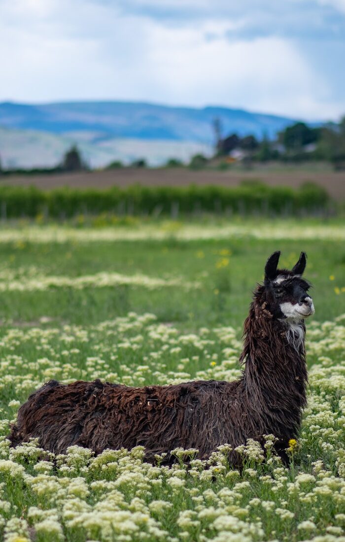 485137679_1218252216531162_5849476740372764818_n